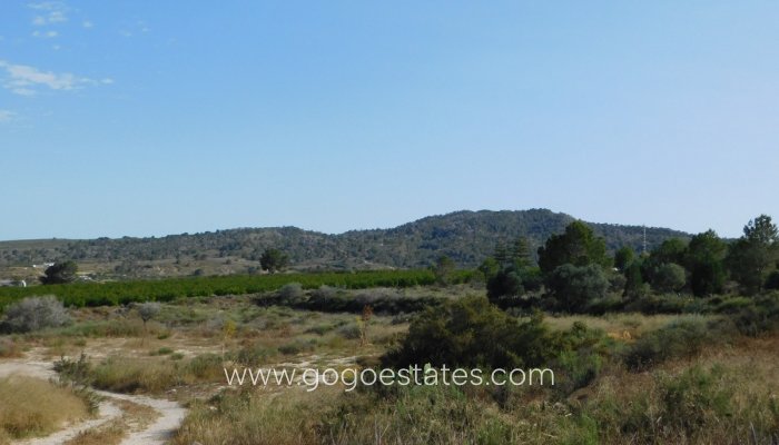 Te koop - Perceel - Land - Orihuela - Torremendo