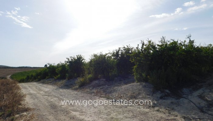 Te koop - Perceel - Land - Orihuela - Torremendo