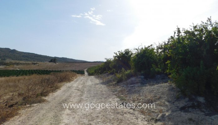 Te koop - Perceel - Land - Orihuela - Torremendo