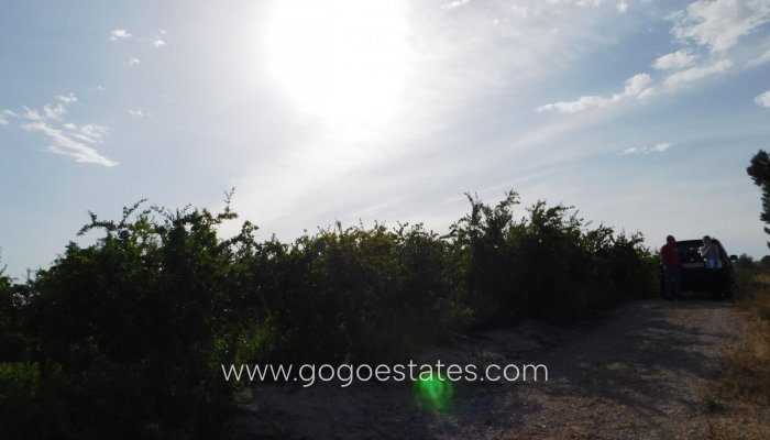 Te koop - Perceel - Land - Orihuela - Torremendo