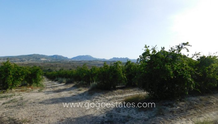 Te koop - Perceel - Land - Orihuela - Torremendo