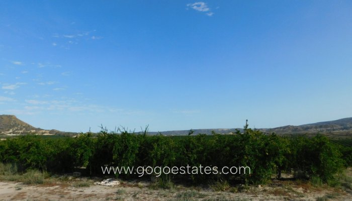 Te koop - Perceel - Land - Orihuela - Torremendo