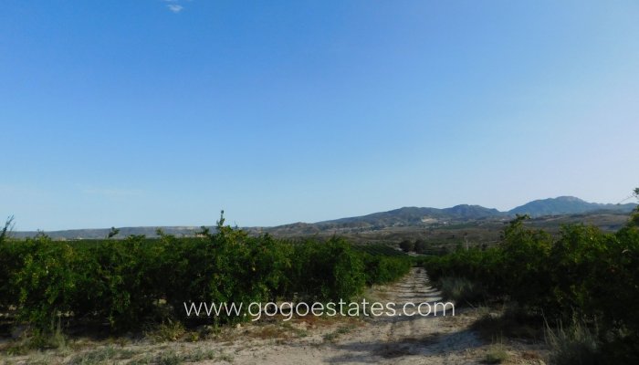 Te koop - Perceel - Land - Orihuela - Torremendo