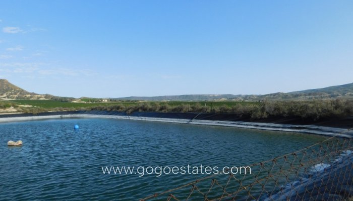 Te koop - Perceel - Land - Orihuela - Torremendo