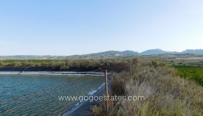 Te koop - Perceel - Land - Orihuela - Torremendo