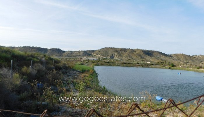 Te koop - Perceel - Land - Orihuela - Torremendo