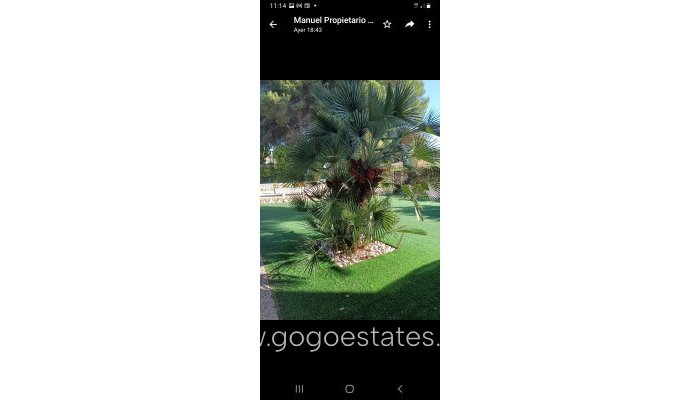 Te koop - Huis - Vrijstaande Villa - Orihuela - Campoamor