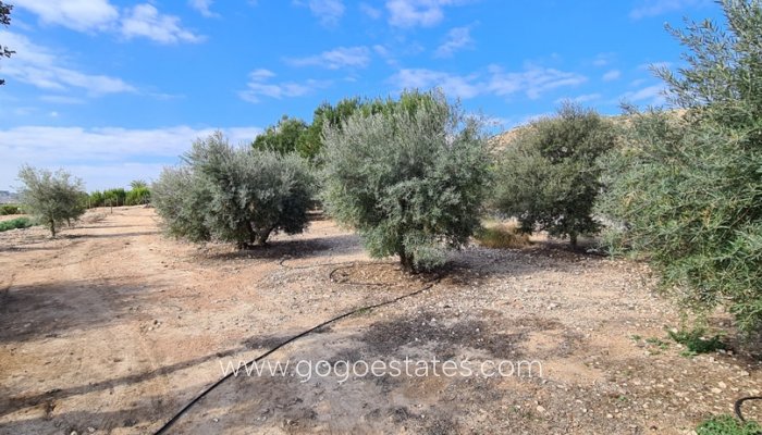 Te koop - Huis - Vrijstaande Villa - Orihuela - La Matanza