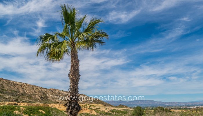 Revente - Appartement - Appartement au rez-de-chaussée - Algorfa - Algorfa Centro