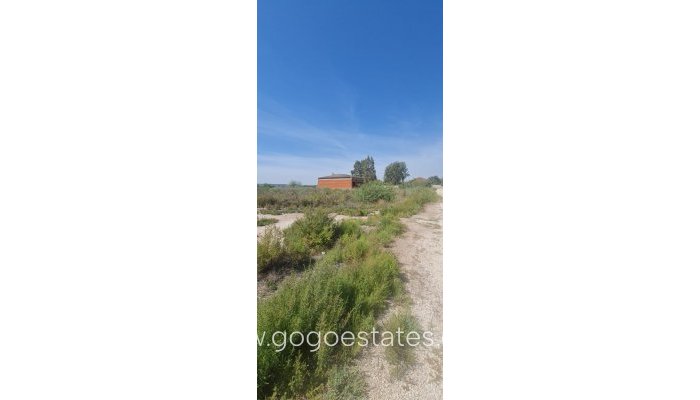 Revente - Terrain - Terrain - Elche - La Hoya