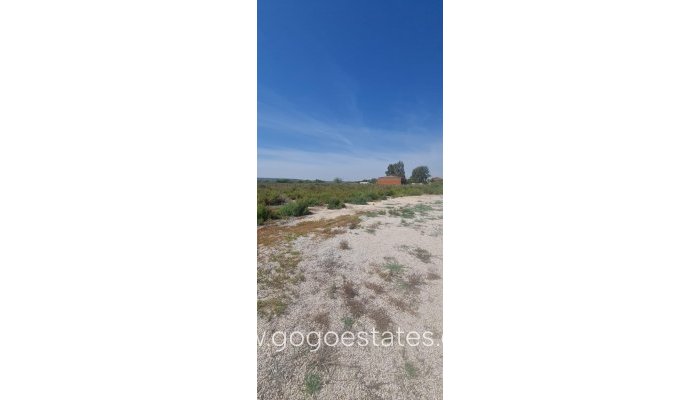 Revente - Terrain - Terrain - Elche - La Hoya