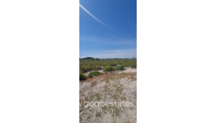 Revente - Terrain - Terrain - Elche - La Hoya