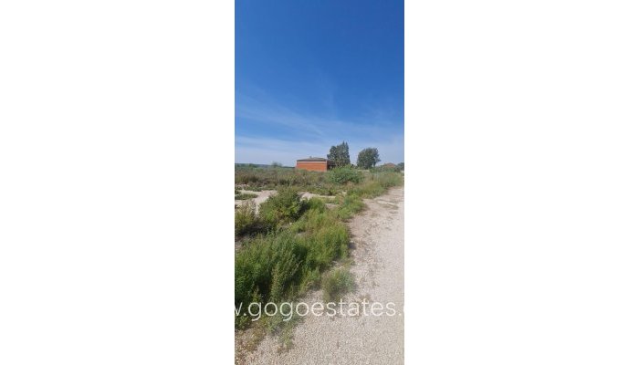 Revente - Terrain - Terrain - Elche - La Hoya