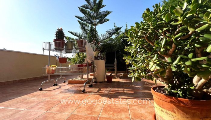 Te koop - Appartement - Begane Grond Appartement - Orihuela - Orihuela Costa