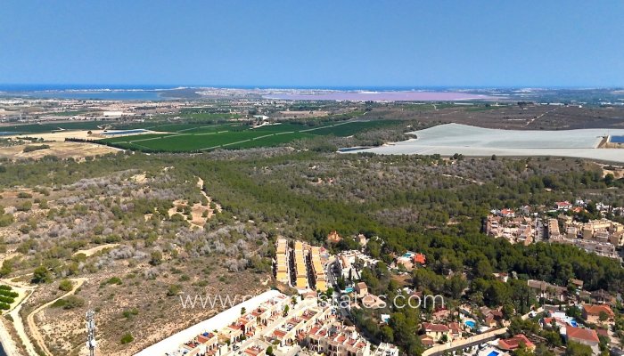 Te koop - Huis - Vrijstaande Villa - Algorfa - Algorfa Centro