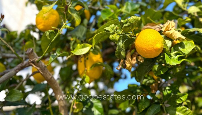 Te koop - Huis - Vrijstaande Villa - Orihuela - Villamartin