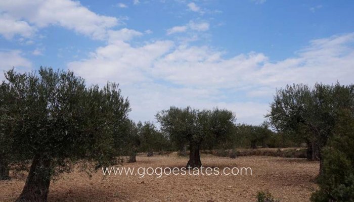 Te koop - Perceel - Land - Yecla - Yecla Centro