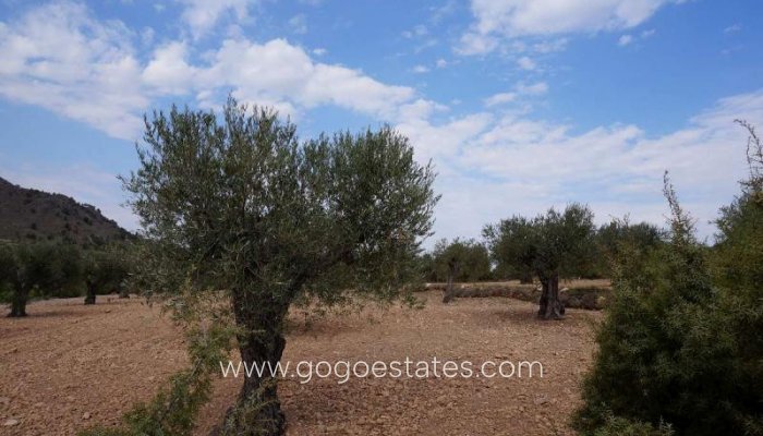 Te koop - Perceel - Land - Yecla - Yecla Centro