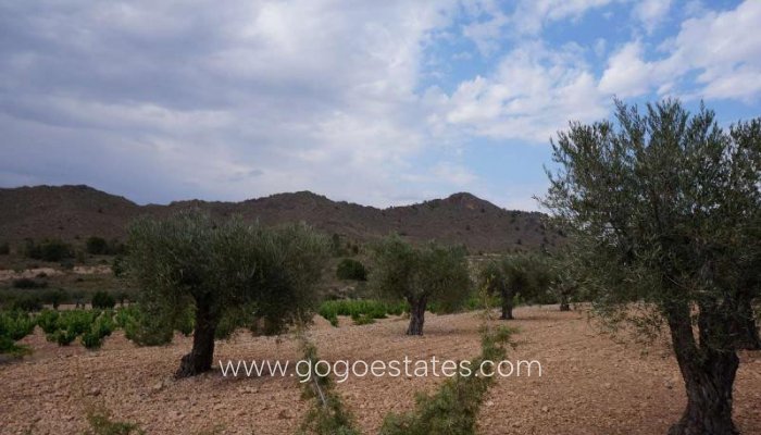 Te koop - Perceel - Land - Yecla - Yecla Centro