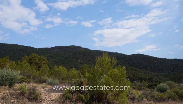 Te koop - Perceel - Land - Yecla - Yecla Centro