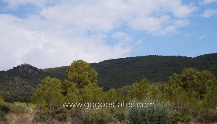 Te koop - Perceel - Land - Yecla - Yecla Centro