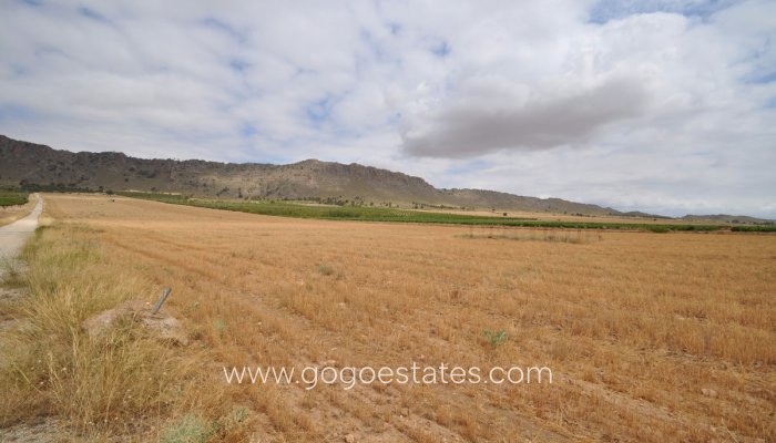 Te koop - Perceel - Land - Yecla - Yecla Centro