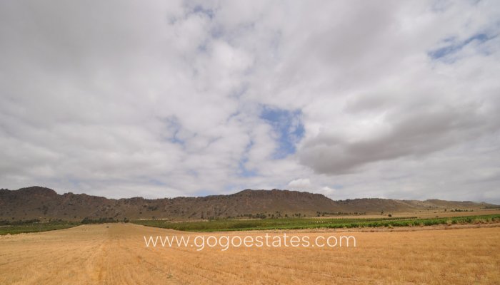 Te koop - Perceel - Land - Yecla - Yecla Centro