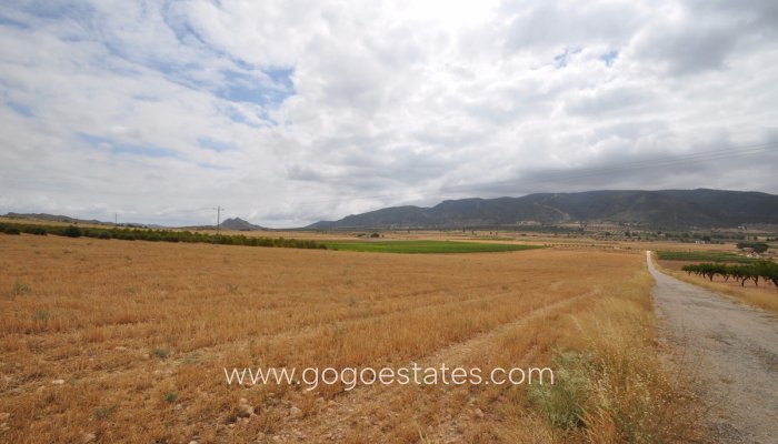 Te koop - Perceel - Land - Yecla - Yecla Centro