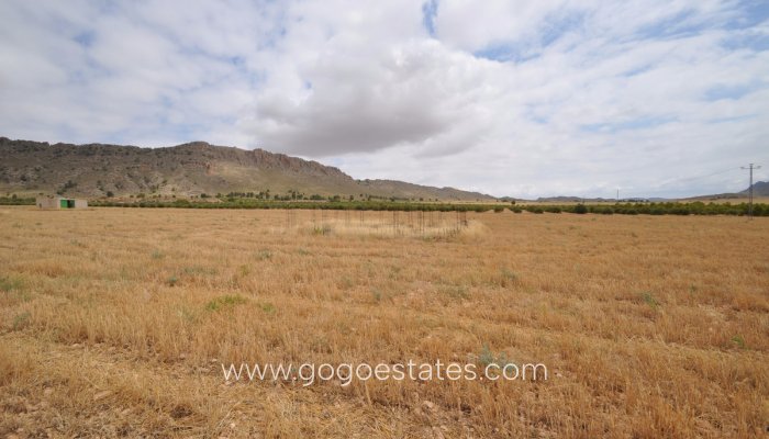 Te koop - Perceel - Land - Yecla - Yecla Centro