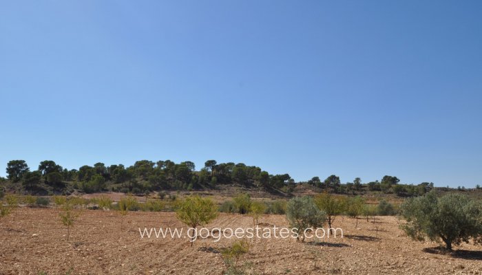 Te koop - Perceel - Land - Jumilla - Torre del Rico
