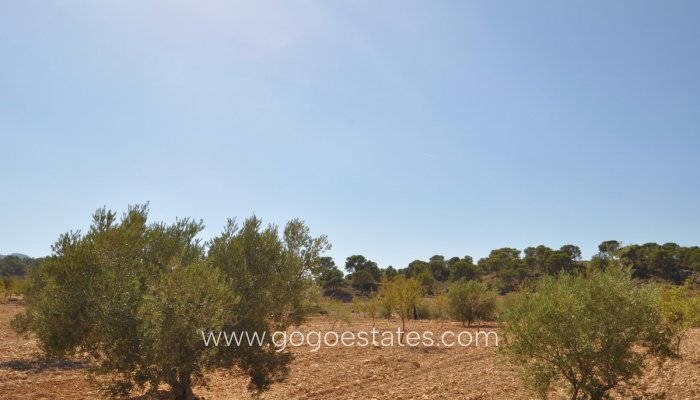Te koop - Perceel - Land - Jumilla - Torre del Rico