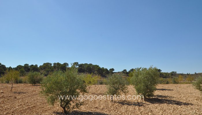 Te koop - Perceel - Land - Jumilla - Torre del Rico