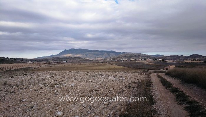 Revente - Terrain - Terrain - Jumilla - Torre del Rico
