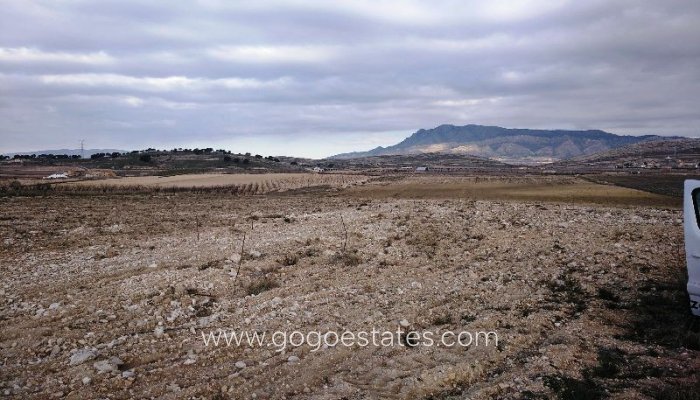 Revente - Terrain - Terrain - Jumilla - Torre del Rico