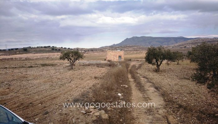 Revente - Terrain - Terrain - Jumilla - Torre del Rico
