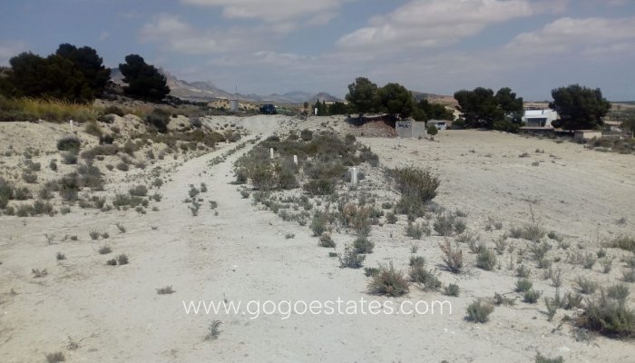 Te koop - Perceel - Land - Fortuna - Fortuna Centro