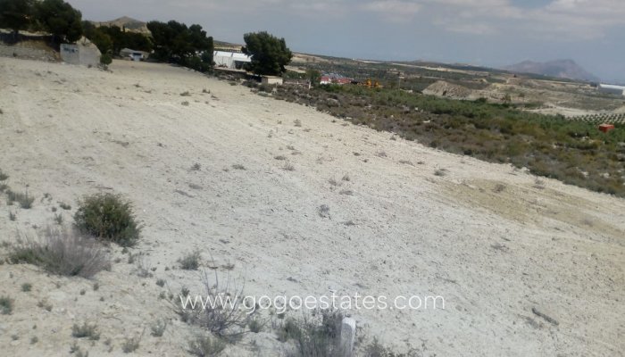 Te koop - Perceel - Land - Fortuna - Fortuna Centro