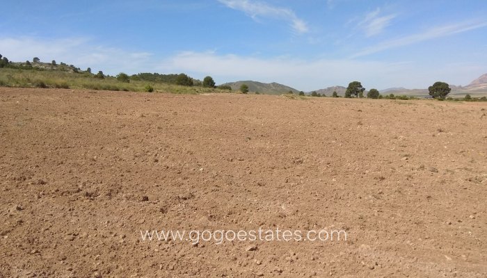 Te koop - Perceel - Land - Yecla - Yecla Centro