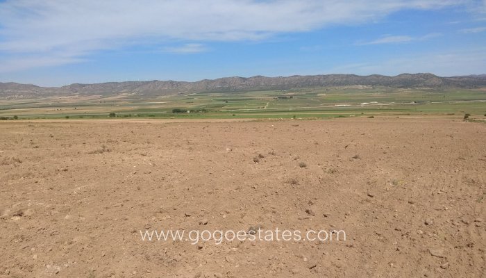 Te koop - Perceel - Land - Yecla - Yecla Centro