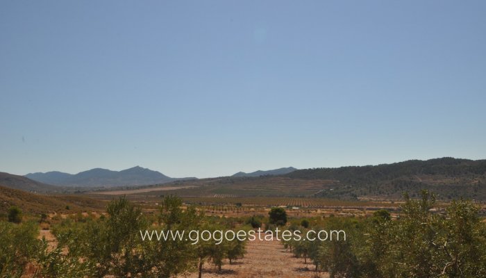 Te koop - Perceel - Land - Murcia - Macisvenda