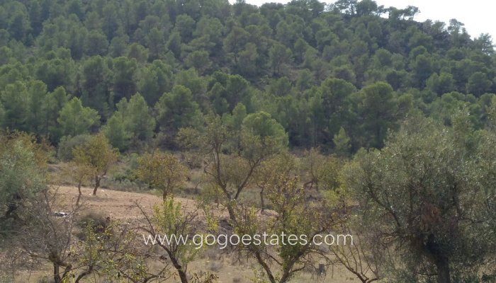 Revente - Terrain - Terrain - Murcia - Abanilla Centro