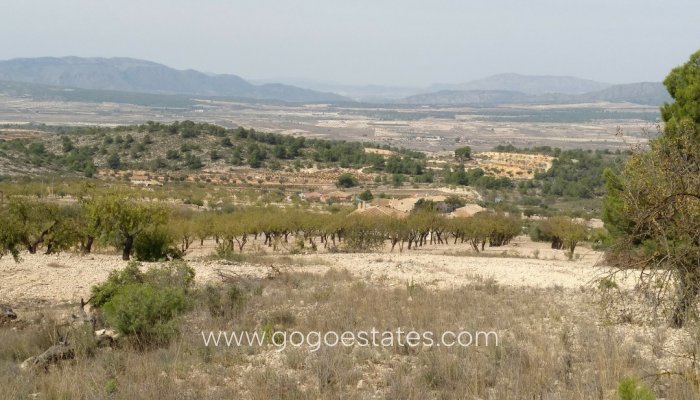 Revente - Terrain - Terrain - Murcia - Abanilla Centro