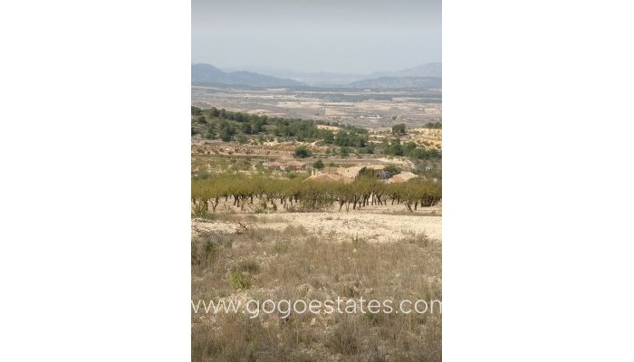 Revente - Terrain - Terrain - Murcia - Abanilla Centro