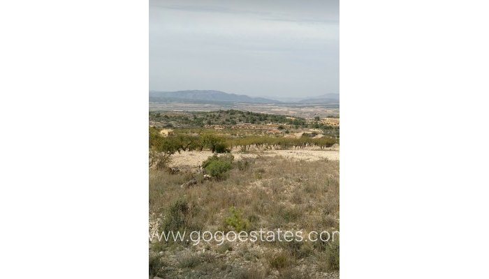 Revente - Terrain - Terrain - Murcia - Abanilla Centro