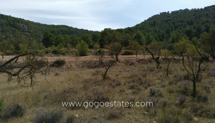Revente - Terrain - Terrain - Murcia - Abanilla Centro