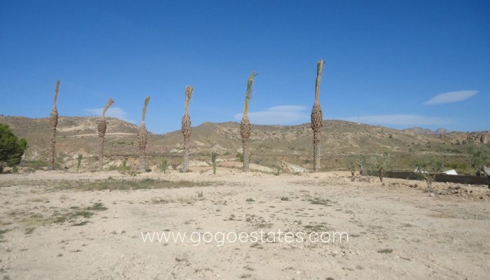 Te koop - Perceel - Land - Murcia - Abanilla Centro