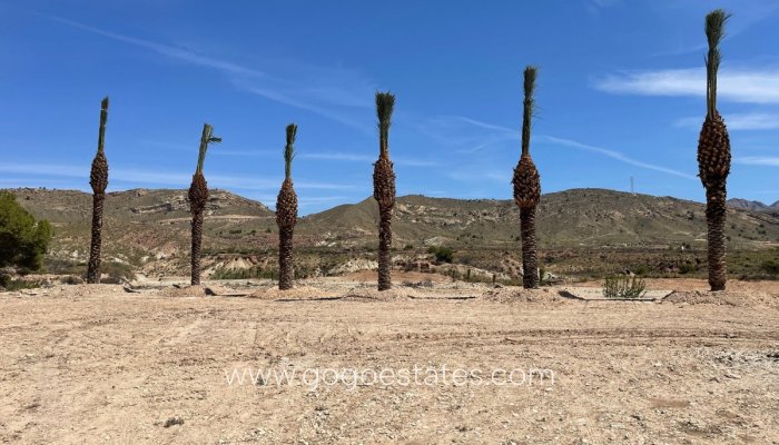 Te koop - Perceel - Land - Murcia - Abanilla Centro