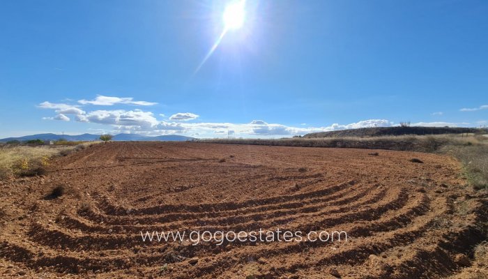 Resale - Plot - Land - Yecla - Yecla Centro