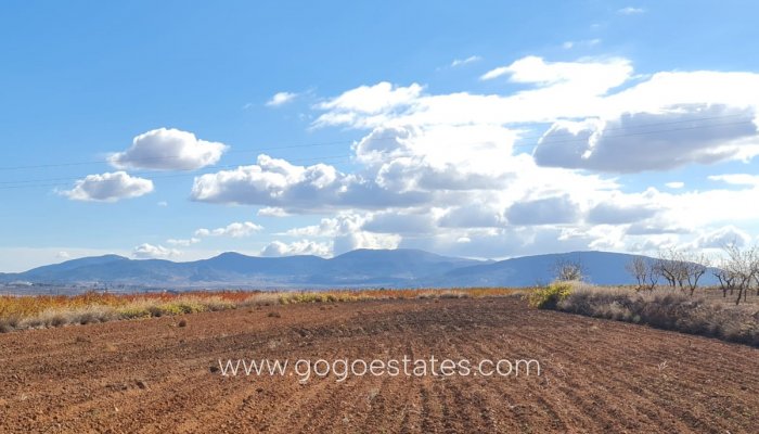 Resale - Plot - Land - Yecla - Yecla Centro