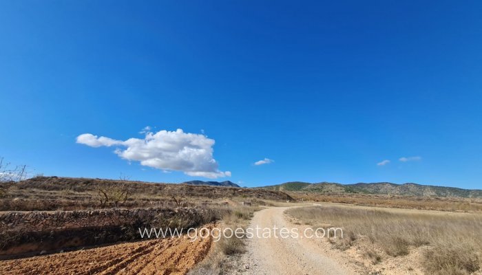 Resale - Plot - Land - Yecla - Yecla Centro